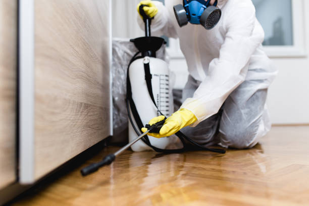Best Pest Prevention Services  in Monticello, WI