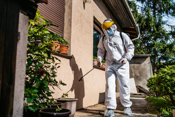 Reliable Monticello, WI Pest Control Solutions