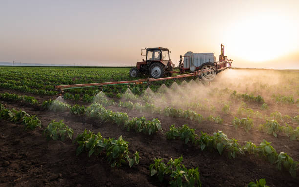 Best Pest Control Cost  in Monticello, WI