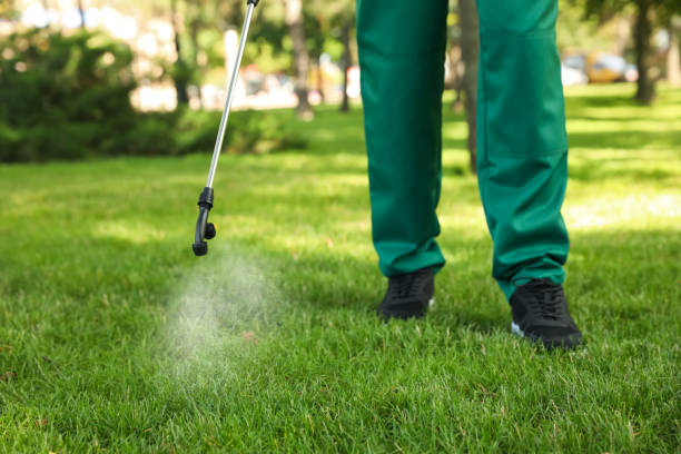 Best Affordable Pest Control Services  in Monticello, WI