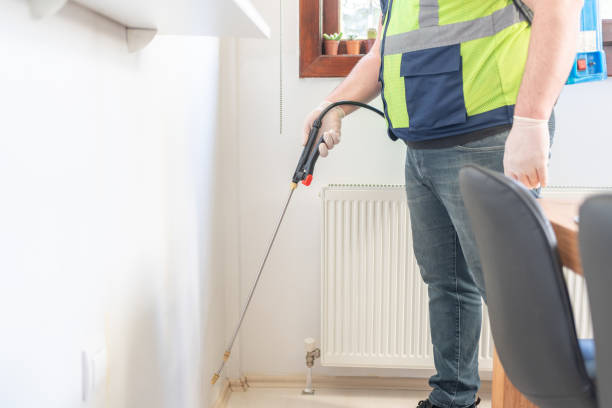 Best Wasp Removal Services  in Monticello, WI