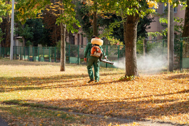 Best Rodent Control Near Me  in Monticello, WI