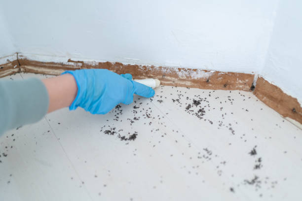 Best Pest Removal Services  in Monticello, WI